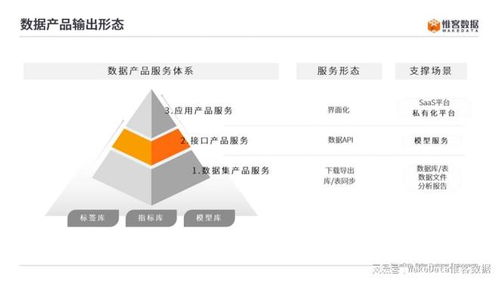 一文看懂 数据产品的3种输出形式和4大服务层次 数字技术应用