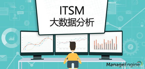 IT服务管理中大数据分析与数字技术的融合应用